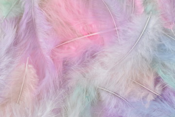 Light feathers pattern texture background
