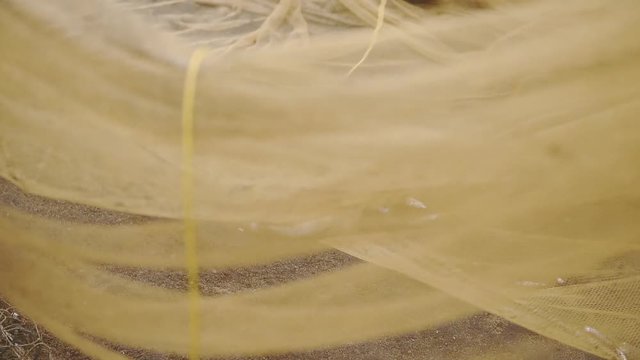 Collecting caught fish from a traditional fishing net, Kappil Beach, Varkala, India