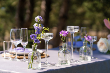Decorative decoration of the festive table. Glass vases and fresh flowers. Decoration of holidays in the open air