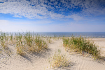 Fototapeta na wymiar sand dunes along the Dutch coast near The Hague; Kijkduin, Netherlands