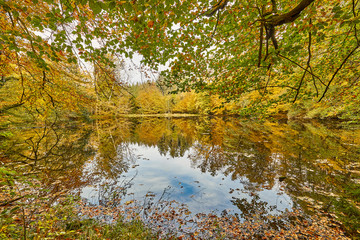 Obraz premium Herbst, Huckinger See, Tarsdorf, Bezirk, Braunau, Innviertel, Oberösterreich, Österreich, Austria