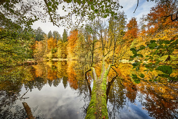 Herbst, Huckinger See, Tarsdorf, Bezirk, Braunau, Innviertel, Oberösterreich, Österreich, Austria