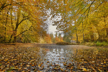 Herbst, Huckinger See, Tarsdorf, Bezirk, Braunau, Innviertel, Oberösterreich, Österreich, Austria