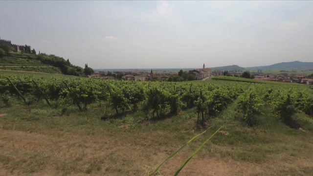 PAN SLOW - View of the Castle of Soave. The medieval town of Soave rises at the foot of the Lessinia Mountains. Soave is surrounded by vineyards that produce one of the most appreciated Italian wine.