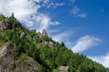 nature in the mountains