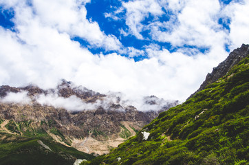 Obraz premium nature in the mountains