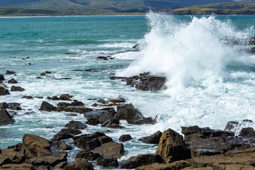 Waves crushing at Rocks in Porpoise Bay of New Zealand on a Stormy Day, Waikawa, New Zealand