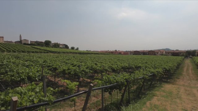 PAN SHOT SLOW MOTION - View of the Sanctuary of Santa Maria della Bassanella and Soave Castle, Italy. Soave is surrounded by vineyards that produce one of the most appreciated Italian white wines.