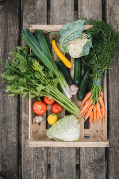 Panier de l&eacute;gumes frais juste ramass&eacute;s