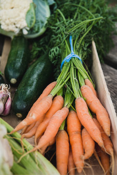 Cagette de l&eacute;gumes frais : carottes, courgettes, ail