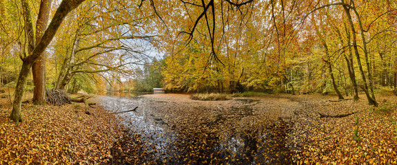 Herbst, Huckinger See, Panorama, Tarsdorf, Bezirk, Braunau, Innviertel, Ober&ouml;sterreich, &Ouml;sterreich, Austria