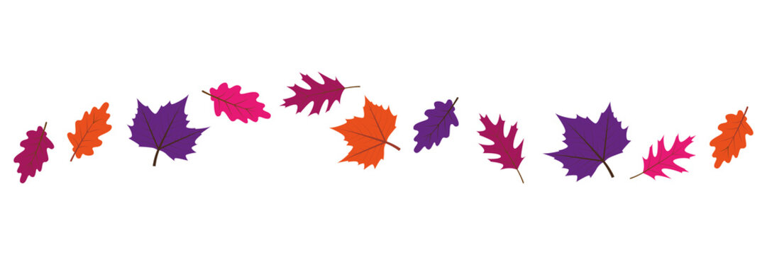 set of colorful autumn leaves in the wind on white background vector illustration EPS10