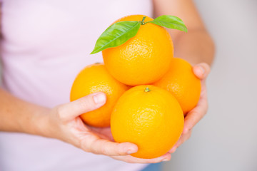 Woman in pink shirt holding four big oranges in hands. Ripe citrus fruits with leaves. White...