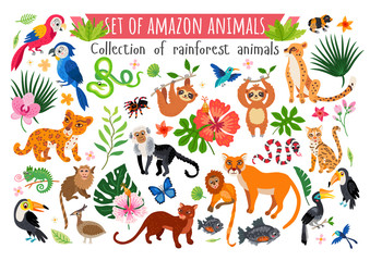 An Amazon rainforest jungle animals set. Vector
