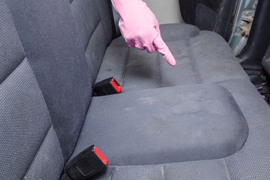 Hand In Rubber Protective Glove Pointing To Dirty Textile Back Seat. Car Interior Problem And Solution. Cleaning Concept. Closeup.