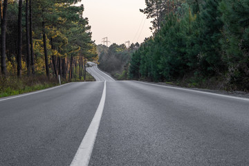 Fototapeta premium Asphalt road landscape in forest