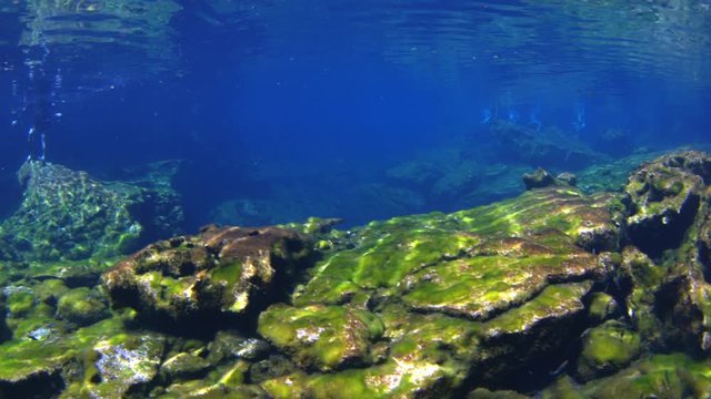 dive into the cenotes, Yucatan, Mexique.