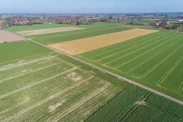 Feldweg zwischen Feldern mit Traktorspuren aus der Luft, Deutschland