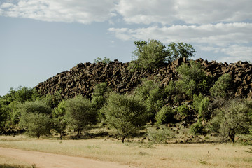 Erindi Nationalpark, Namibia