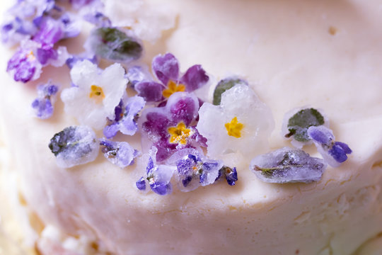 Birthday Or Holiday Cake With Sugar-covered Spring Flowers. Primula, Violets And Mint Leaves
Covered With Sugar Frosting