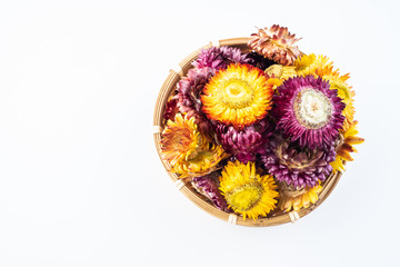 Herbal flower tea Tibetan chrysanthemum on white background