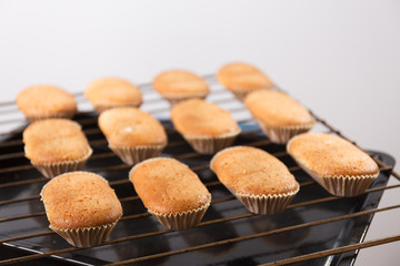 Homemade Valencian muffins on grid on white background