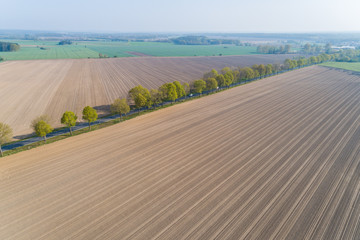 Fototapeta na wymiar Landstraße zwischen Feldern aus der Luft, Deutschland