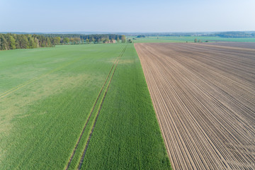 Obraz premium Landschaft mit Feldern in Norddeutschland