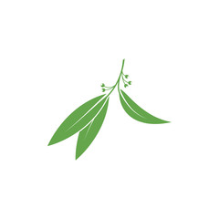 Eucalyptus leaves logo vector template design illustration