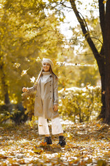 Girl in a brown coat. Woman in a autumn park. Lady with a leaf.