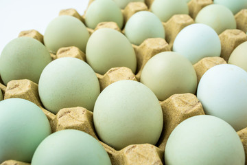 Eggs in a green shell on a plate on white background