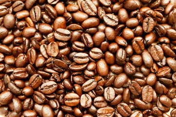 many brown and golden coffee beans, fried lodges scattered across the table.