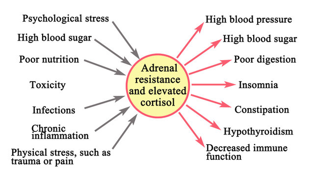Adrenal resistance and elevated cortisol