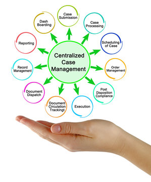 Components Of Centralized Case Management.