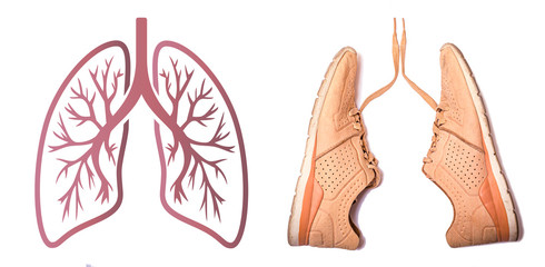 Sport stylish sneakers in form like a lungs. Run for lungs. Health care coneptual image.