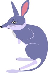 Fototapeta na wymiar Vector illustration of bilby in cartoon simple flat style isolated on white background, label or card.