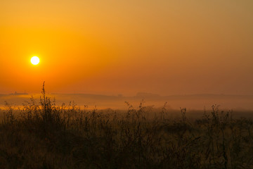 Obraz premium Beautiful sunrise in the field