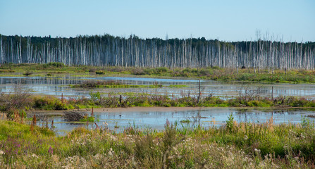 Typical landscape of a midland in Russia
