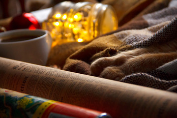 New Year's garland, cat's paws, wrapping paper.