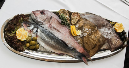 fresh fish on a plate