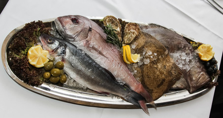 fish on a plate
