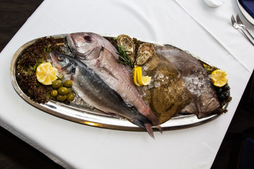 fresh fish on a plate