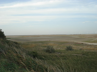 Dried milk firth in autumn