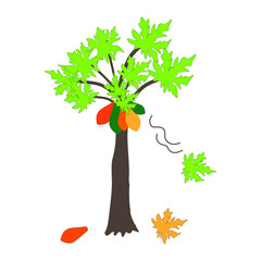 hand drawn vector illustration of a tree