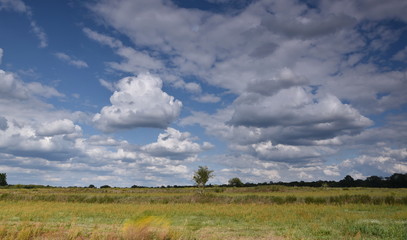 Fototapeta premium Wolken über ehemaligem Rieselfeld in Berlin-Gatow, Bezirk Spandau
