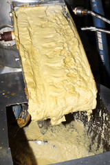 Mustard Powder Factory Making mustard mass from mustard seeds. Innovative equipment for the...