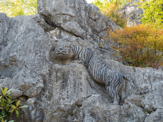 A picture of a tiger on a stone