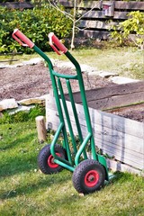 Fototapeta premium Pflanzen, Bäume, Knospen, Blüten, Blumen und Wollschweber. Frühlingstag im April. Postkartenmotiv, Wallpaper und free space für Texte 