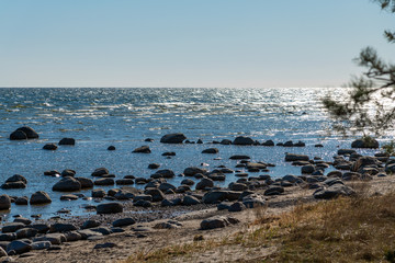 Stones at coast of gulf of Riga, Latvia.