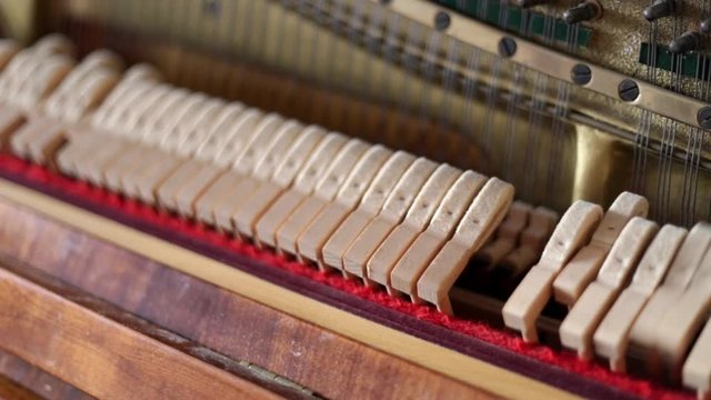 Moving details of opened piano during playing.